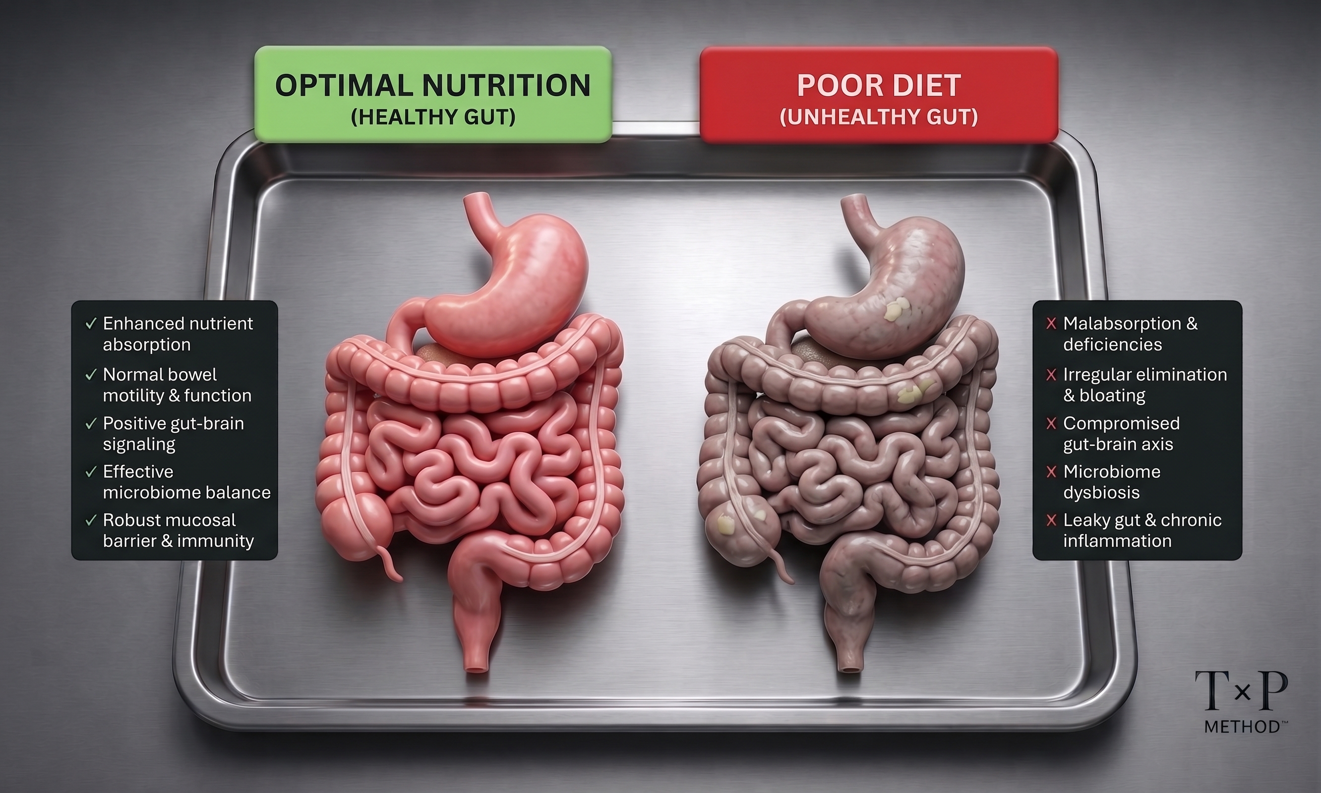 Metabolic & Enteric Axis - Gut Repair & Nutrition